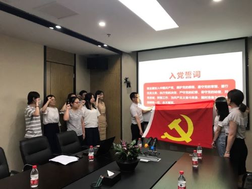 公司第一黨支部、第二黨支部分別召開黨員大會暨“不忘初心，牢記使命”主題教育專題黨員活動日