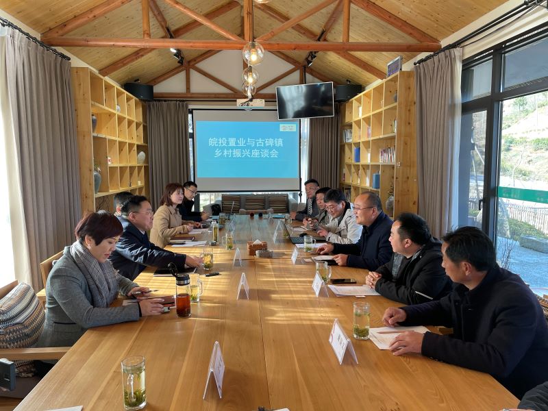 公司董事長謝海帶隊赴水坪村開展鄉(xiāng)村振興調(diào)研工作