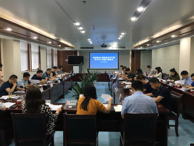 皖投置業(yè)公司召開2021年第八期黨總支中心組學習