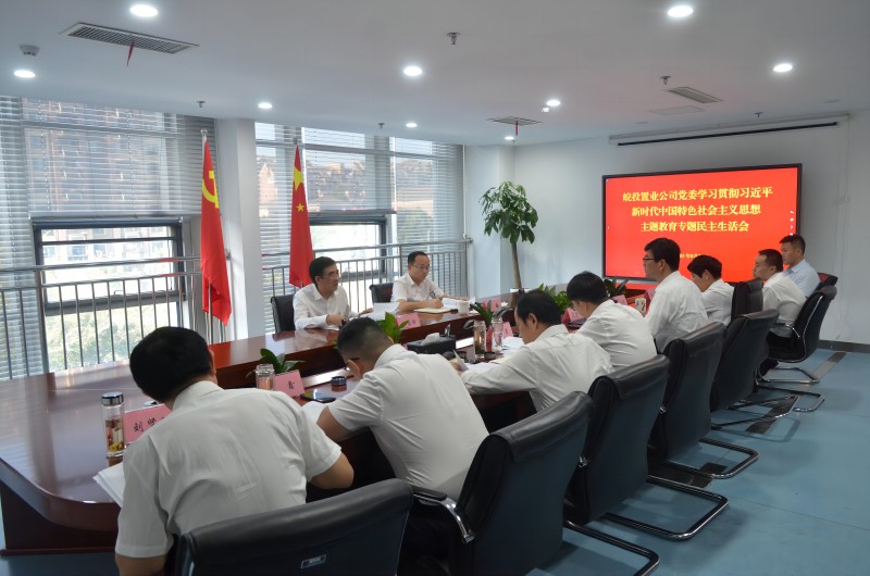 何昌順參加指導皖投置業(yè)公司黨委主題教育專題民主生活會